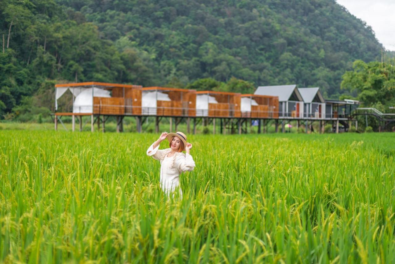เนเจอร์วัลเล่ย์แคมป์ Luxury tent