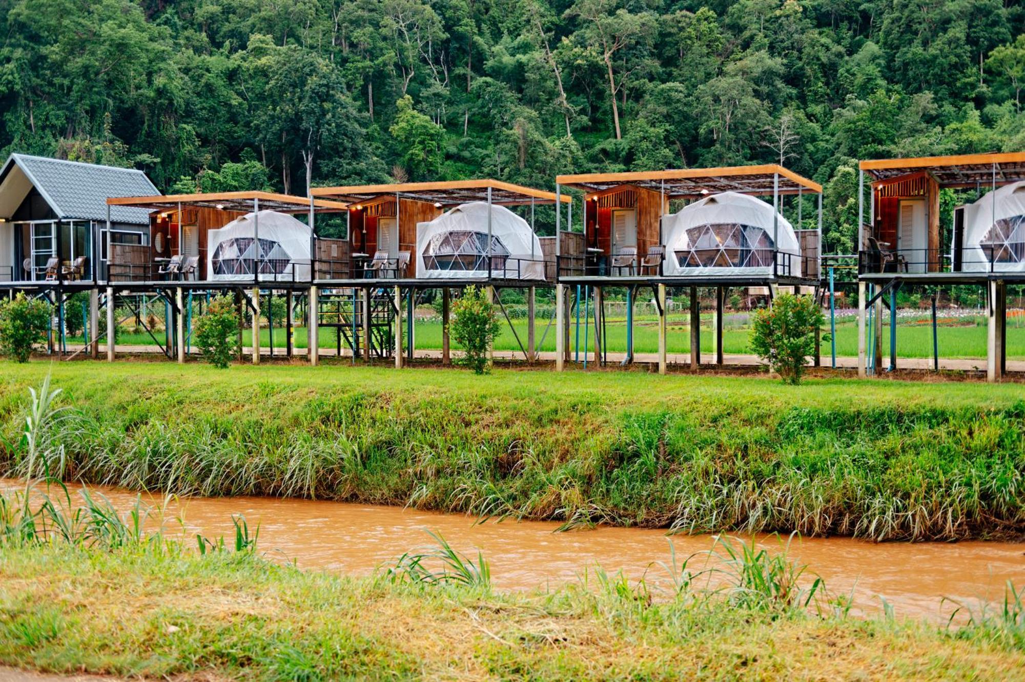 Luxury tent เนเจอร์วัลเล่ย์แคมป์ Pang Mapha